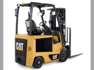 2016 Caterpillar EC25N2